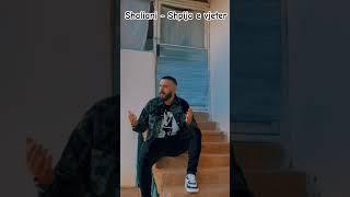 Shaliani - Shpija e vjeter