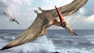 Pterodactyl Sound