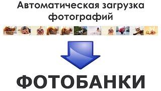 Обзор программы для автоматического сабмита на фотостоки Stock Submitter