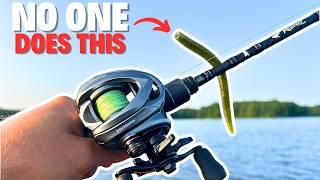 What I WISH Someone Would’ve Told me About Wacky Rig Fishing