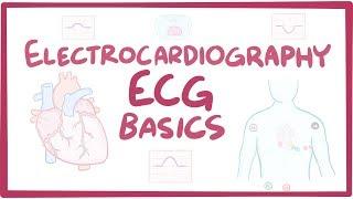 Electrocardiography (ECG/EKG) - basics