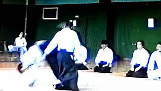 Daito-ryu Aikibudo: Aikinojutsu's Handa Sensei