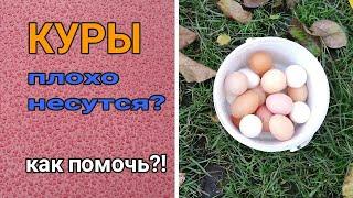 КУРЫ ПЛОХО НЕСУТСЯ? КАК ПОМОЧЬ?! ДЕЛЮСЬ ОПЫТОМ.