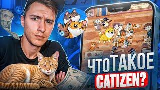 ЧТО ТАКОЕ CATIZEN? ПОЛНЫЙ РАЗБОР ПРОСТЫМИ СЛОВАМИ!