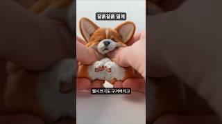 찰흙찰흙 열매의 위험성