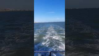Ferry Praia de Faro #portugal #boat #celinedion #sailing #ship #sea #lagoon #travel #vlog #boatrides