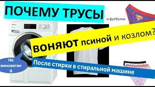 Бельё воняет псиной и козлом после стирки в стиральной машине. Как исправить ситуацию? есть решение