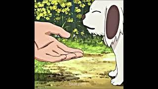 First meeting #kiba #naruto #akamaru #shorts #anime