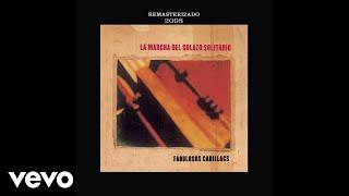 Los Fabulosos Cadillacs - La Vida (Cover Audio Video)