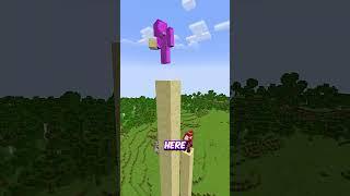 Minecraft, But If I See the Color Red, the Video Ends!  ️ #shorts