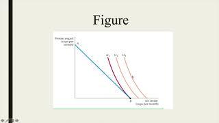 Corner Solutions in Indifference Curves