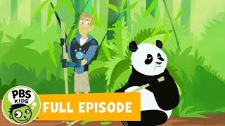 Wild Kratts FULL EPISODE |  Panda Power Up! | PBS KIDS