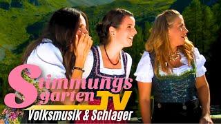 Z3 - Die drei Zillertaler | Volksmusik - Schlager - Volkstümliche Musik | GIPFELSTAMMTISCH