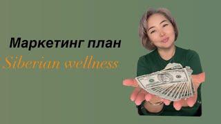 Маркетинг план Siberian Wellness #сибирскоездоровье #siberianwellness #онлайнбизнес