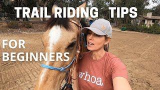 HORSE TRAIL RIDING TIPS. Horse trail riding for beginners!