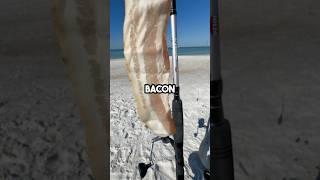 Fishing with BACON!  #fishingvideo #saltwaterfix #fishing
