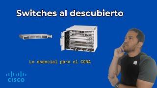 Switches de Redes Explicados: Tipos(Capa 2, Multicapa) y Cómo Elegir el Correcto