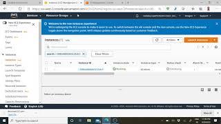 Hosting a website on AWS EC2 instance