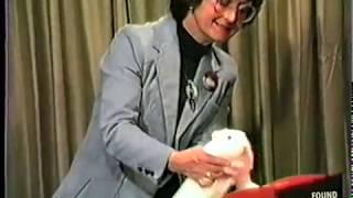 The Astounding BB Bunny!