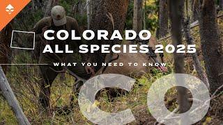 Planning a Hunt in Colorado? Watch THIS First! | Colorado What You Need to Know All Species