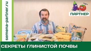 КАК ВЫРАЩИВАТЬ НА ГЛИНИСТОЙ ПОЧВЕ?