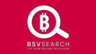 Introduction to BSVSearch