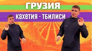 Просмотрев это видео вы точно захотите в Грузию. Кахетия - Тбилиси 2021 на машине