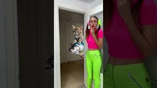Cat behind the door #shorts by Anya Kova