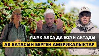 Түптө мөмө кандай түшүм берди? | Агро мектеп