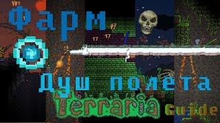 (Terraria-Guide) Фарм душ полёта/эссенций воздуха.