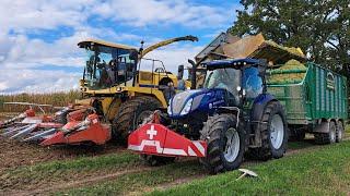 Blue Power im Flachland  Maisernte 2024 mit New Holland T6.175 I Bunkerhäcksler | Kemper C4500