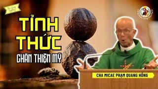 Tỉnh thức: chân thiện mỹ  Bài Giảng Cha Hồng Mới Nhất