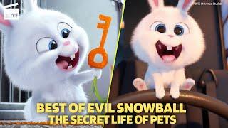 Best of Evil Snowball | The Secret Life of Pets | Cartoon For Kids