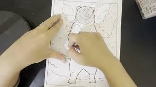 Color a picture of a bear