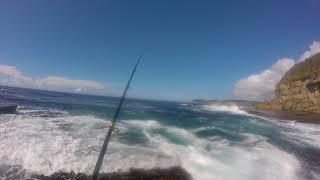 new  Luderick spot