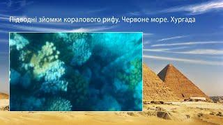 Підводні зйомки коралового рифу. Червоне море. Хургада