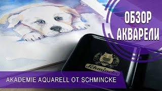 АКВАРЕЛЬ SCHMINCKE AKADEMIE | ОБЗОР + СПИДПЕЙНТ