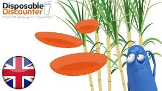 Sugarcane Bagasse disposables (howitsmade)