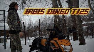 IRBIS DINGO T125