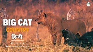 Hollywoods Held Hostage - Big Cat Country 5, हिन्दी डॉक्यूमेंट्री | Wildlife documentary Hindi