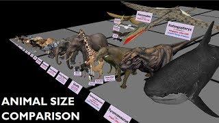 Animal Size Comparison 3D