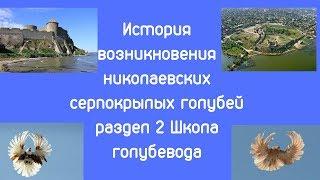 История возникновения николаевских серпокрылых голубей раздел 2 Школа голубевода