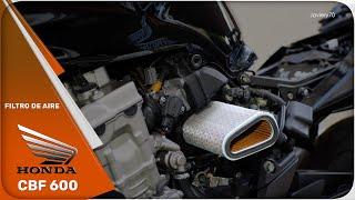 Honda CBF 600 | Change the air filter