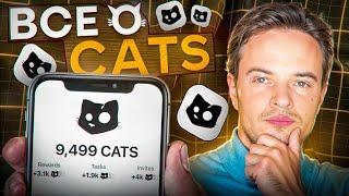 СРОЧНО! ЧТО ДЕЛАТЬ С CATS? CATS AIRDROP. CATS ЛИСТИНГ