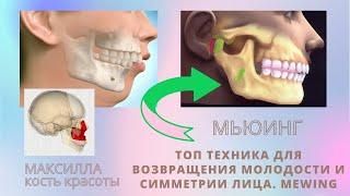 МЬЮИНГ- ТОП ТЕХНИКА для возвращения МОЛОДОСТИ И СИММЕТРИИ ЛИЦУ  Mewing