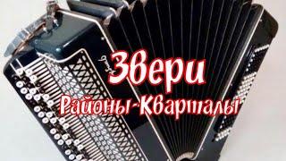 Звери - Районы - кварталы (кавер на баяне )