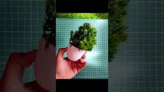 Cheapest Artificial Plant you can buy for Home & Office