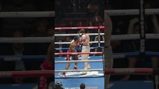 World class boxing USA  Romania  #boxing #epic #viralvideo #exploremore #influencerboxing