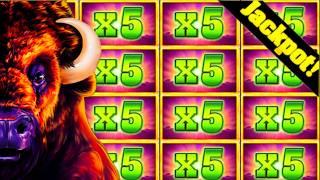 DREAM HIT On Buffalo Deluxe At Royal River Casino! JACKPOT HAND PAY!