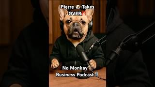 Mojo’sout sickSo Pierre’sgot something to say!#podcast #talkinganimals #shorts #funnyanimals